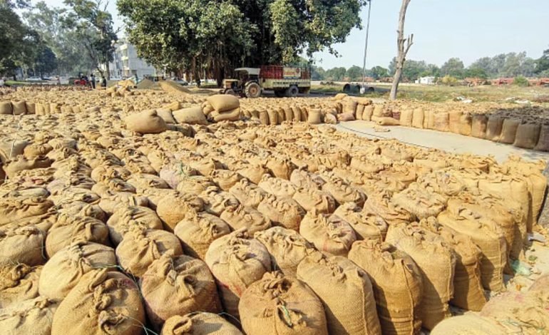 राज्य में अब तक 66.78 लाख मीट्रिक टन धान की खरीदी , किसानों को 15,213 करोड़ रूपए का भुगतान
