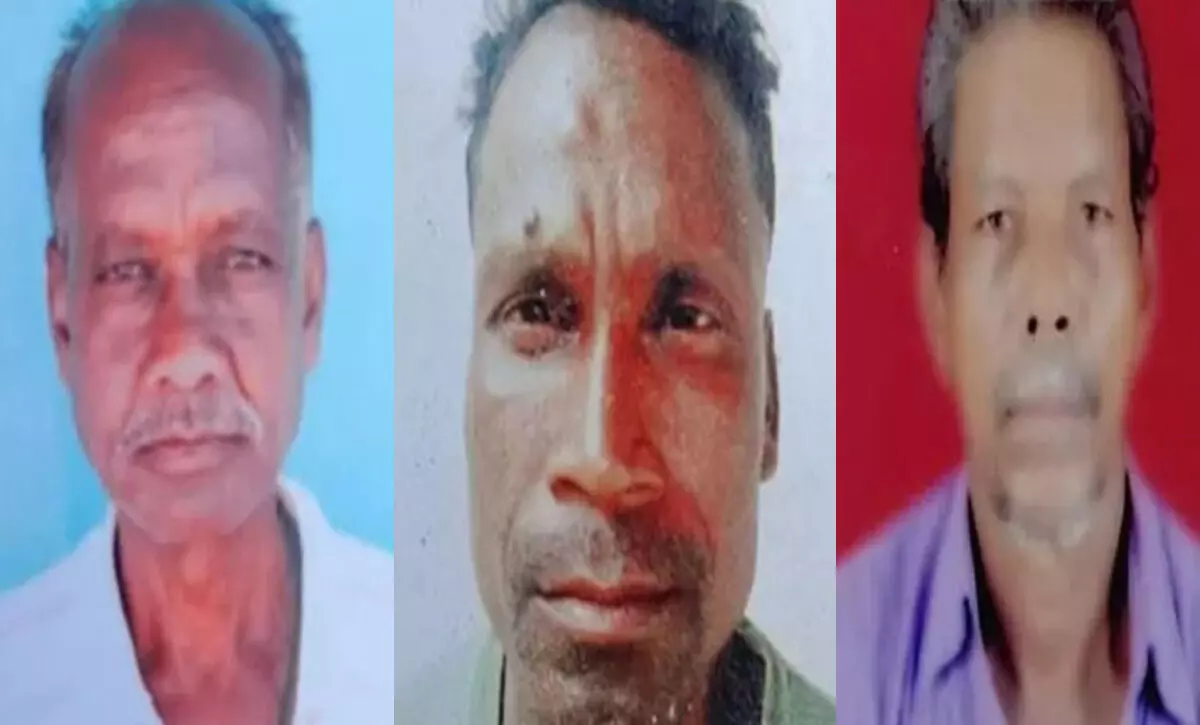 कोरबा में दर्दनाक हादसा: मवेशी से टकराई बाइक, एक ही परिवार के तीन की मौत