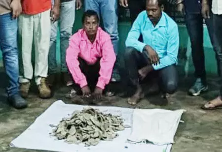 पैंगोलिन स्केल तस्करी पर वन विभाग का बड़ा प्रहार, दो गिरफ्तार