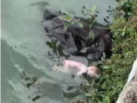 रायपुर: बूढ़ा तालाब में नवजात शिशु की लाश मिलने से सनसनी, पुलिस जांच में जुटी