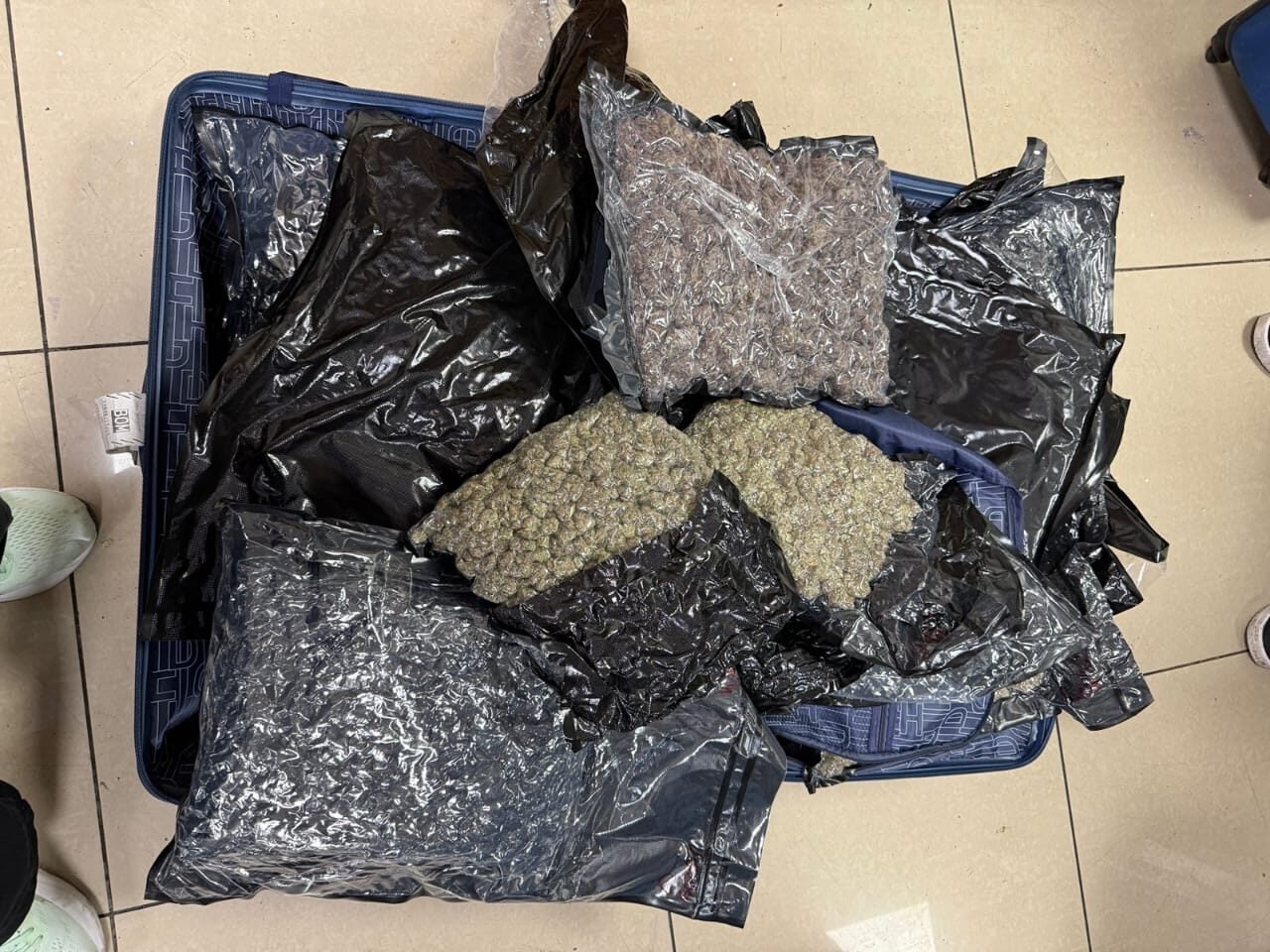 मुंबई हवाई अड्डे पर 25 करोड़ रुपये की हाइड्रोपोनिक वीड जब्त, थाईलैंड से तस्करी; 3 गिरफ्तार