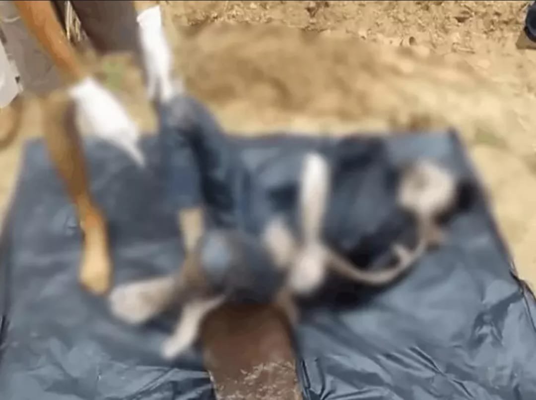 छत्तीसगढ़ के मुंगेली में दिल दहलाने वाली वारदात: 4 दोस्तों ने युवक को बेरहमी से मार डाला, शव नदी में फेंका