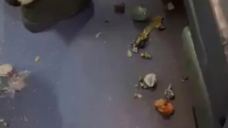 बीएसएफ जवानों के लिए रेलवे ने भेजी गंदी ट्रेन, चार अधिकारियों पर कार्रवाई