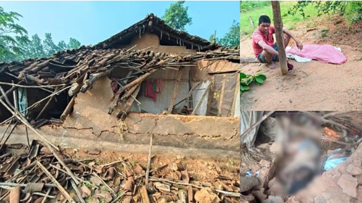 हाथियों का आतंक: दो दिन में तीन की मौत, 8 मकानों को पहुंचा नुकसान