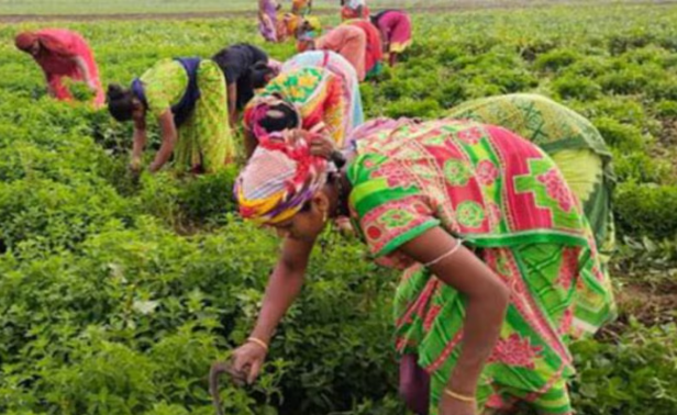 प्रदेश के किसानों को मिलेगा बड़ा लाभ: डबल इंजन सरकार का ऐतिहासिक फैसला