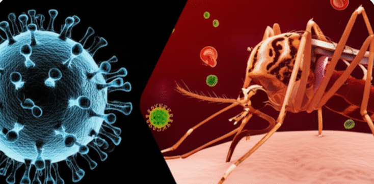 चीन में 20 साल बाद चिकनगुनिया का सबसे बड़ा प्रकोप