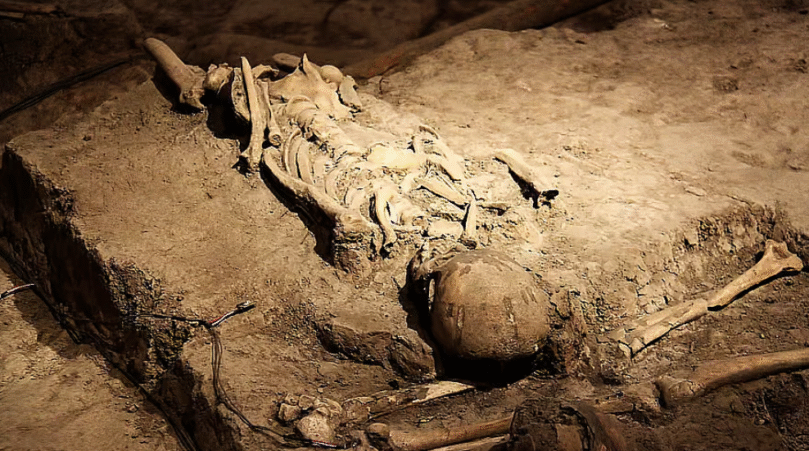 कर्नाटक सरकार ने धर्मस्थल में कथित सामूहिक दफन मामले की जांच के लिए SIT का गठन किया