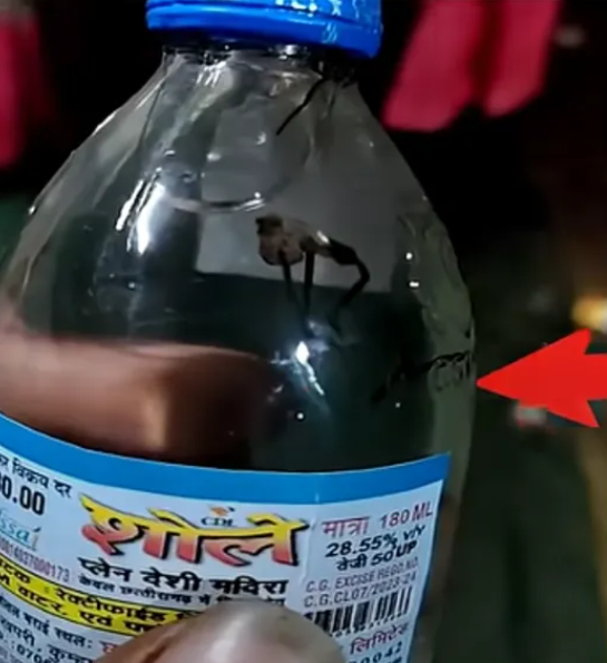 शराब की बोतलों में मकड़ी और छिपकली, शोले ब्रांड की गुणवत्ता पर सवाल