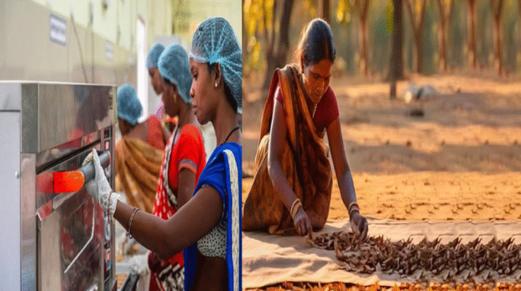 छत्तीसगढ़ में बड़ा निर्णय: जशप्योर ब्रांड का ट्रेडमार्क अब उद्योग विभाग को सौंपा जाएगा