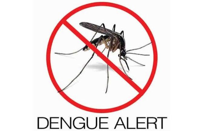 डेंगू का खतरा: भिलाई में 3 मरीजों की पुष्टि, स्वास्थ्य विभाग और BSP की संयुक्त कार्रवाई