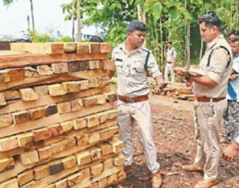 पाटन में अवैध आरा मिल पर वन विभाग की बड़ी कार्रवाई: लकड़ियां और मशीनें जब्त, जिम्मेदार अधिकारियों को नोटिस