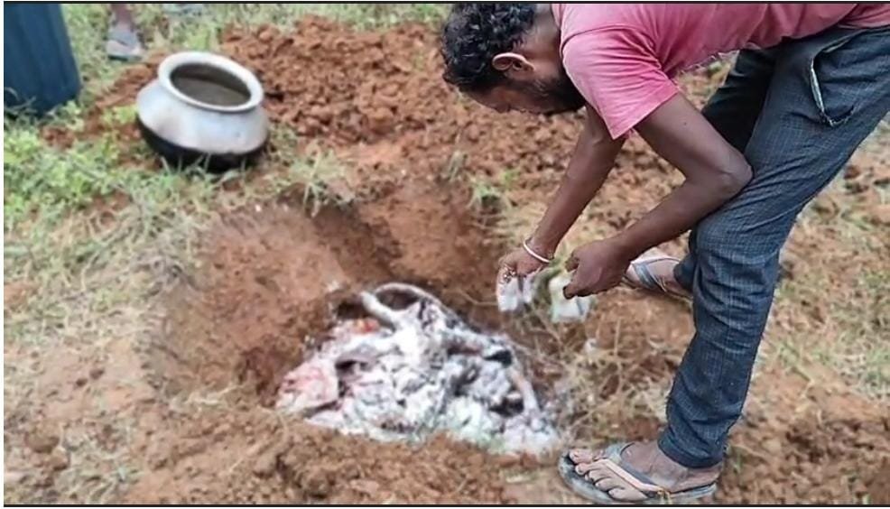 जशपुर: मयूर चुंगी गांव में गोवंश हत्या के मामले में पुलिस की बड़ी कार्रवाई, 51 किलो प्रतिबंधित मांस के साथ दो गिरफ्तार