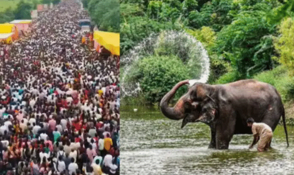 Kolhapur में हजारों की पदयात्रा, महादेवी हाथी की वापसी की मांग