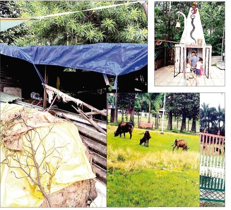 Nagar Nigam के गार्डन में बना लिया खटाल, सेक्टर 4 के निवासियों ने की शिकायत