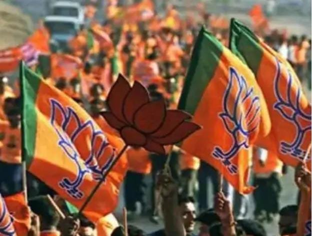 Chhattisgarh  बीजेपी कार्यकारिणी का विस्तार: 47 नए पदाधिकारियों की नियुक्ति