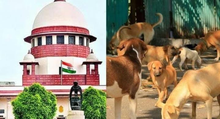 Supreme court  ने कुत्तों पर फैसला सुरक्षित रखा, सरकार बोली – कई लोग चिकन खाकर बनते हैं पशु प्रेमी