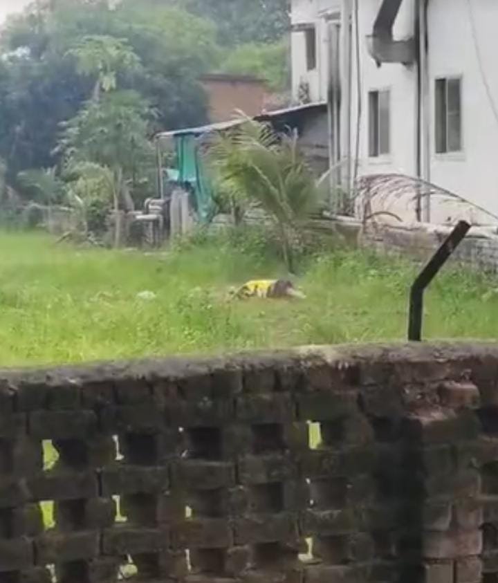 Chhattisgarh : बलौदाबाजार में युवती ने होटल की तीसरी मंजिल से कूदकर की आत्महत्या की कोशिश, हालत गंभीर