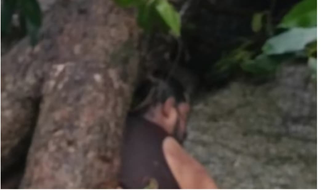 Kanker मलांजकुडुम जलप्रपात में दर्दनाक हादसा, युवक की मौत,