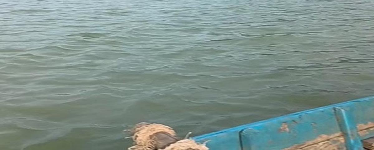 Korba: Madanpur में नदी में डूबने से 42 वर्षीय व्यक्ति की मौत, दो दिन बाद बरामद हुआ शव