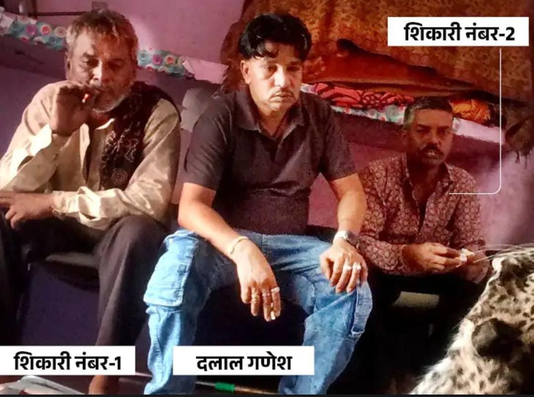 भीम में तस्करी का खुलासा: 10 लाख में Tiger , 7 लाख में लेपर्ड की खाल की Deal