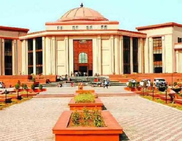 Chhattisgarh High court  ने सड़कों पर आवारा पशुओं को लेकर जताई गंभीर चिंता