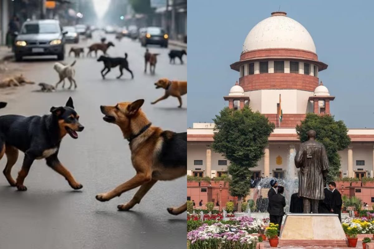 Supreme Court का बड़ा फैसला: आवारा कुत्तों को नसबंदी और टीकाकरण के बाद उसी क्षेत्र में छोड़ने का आदेश