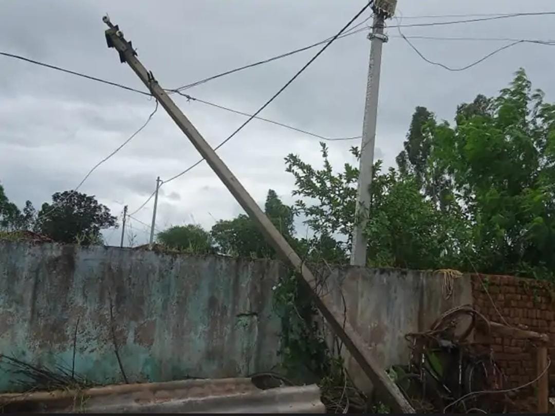 बिजली Poll हटाते समय Current की चपेट में आए तीन लोग, दो की मौत; एक गंभीर