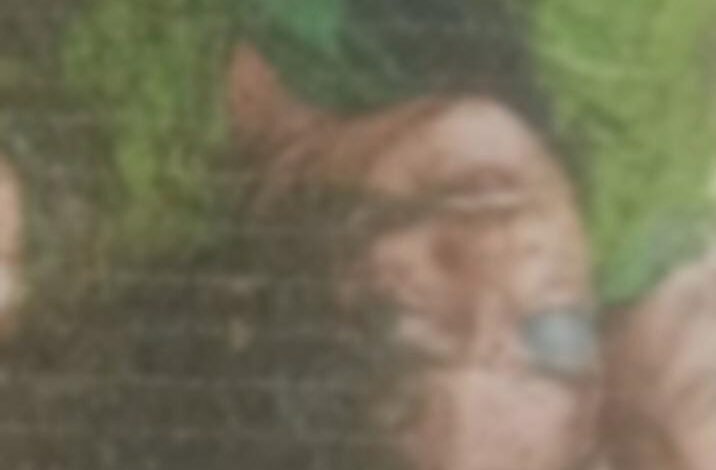 Korba में पति ने की पत्नी की हत्या, सेप्टिक टैंक में छिपाया शव