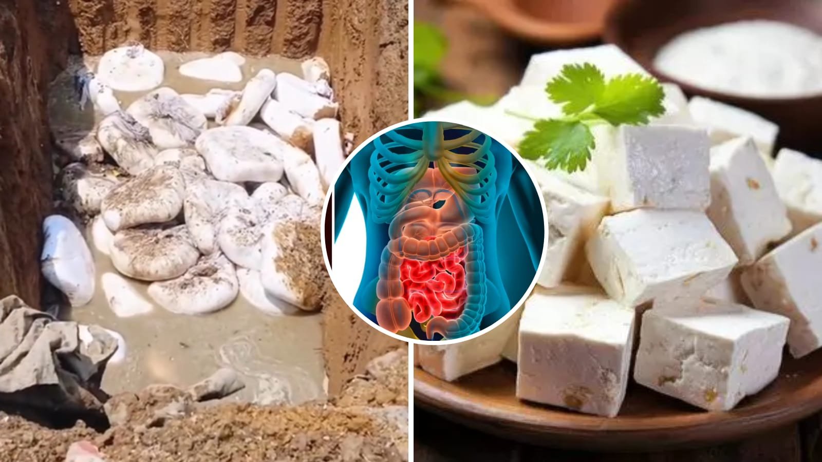 RAIPUR : नकली पनीर का धंधा: यात्रियों की जान से खिलवाड़ और सेहत के लिए खतरा