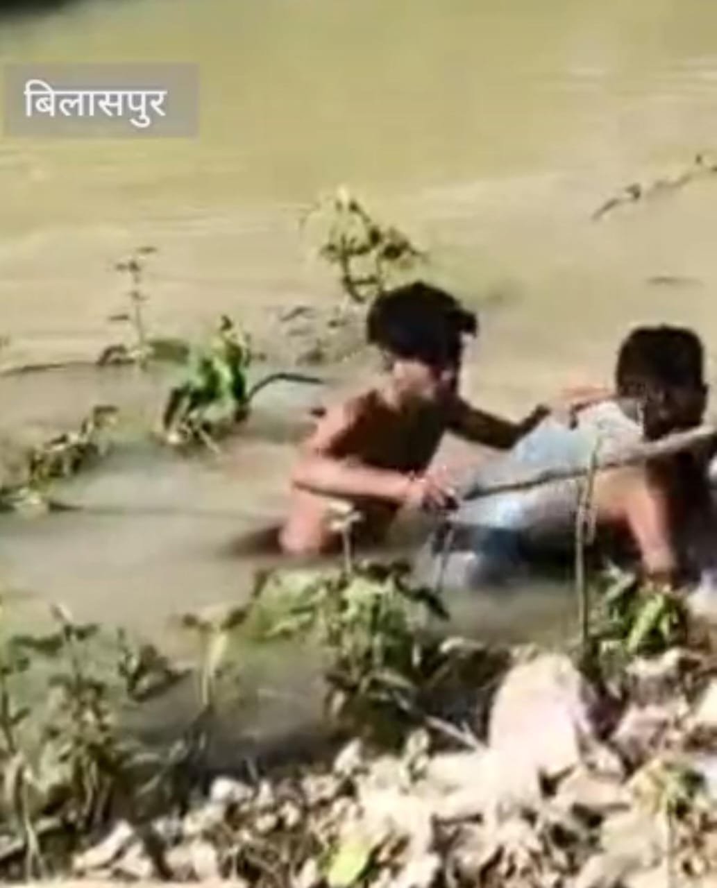 Bilaspur टिकारी गांव से लापता डेढ़ साल के मासूम का शव नहर में मिला, दो दिन से चल रही थी तलाश