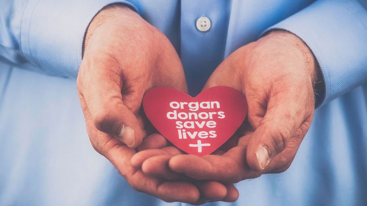 विश्व अंगदान दिवस 2025 : रायपुर में जन जागरूकता के लिए रैली, ‘अंगदान-महादान’ का संदेश