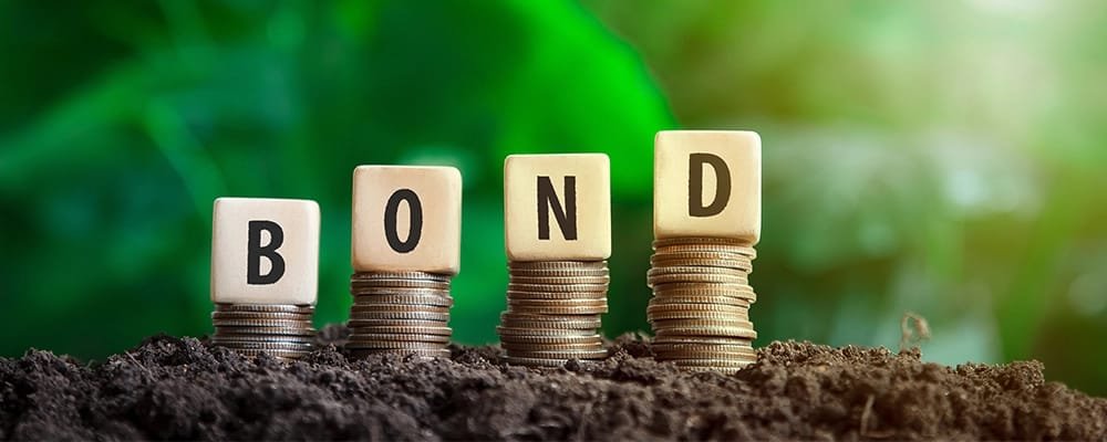 Bharat ने सरकारी बॉन्ड में विदेशी निवेश पर नियामकीय ढील की घोषणा की, फरवरी 2026 से लागू होगा