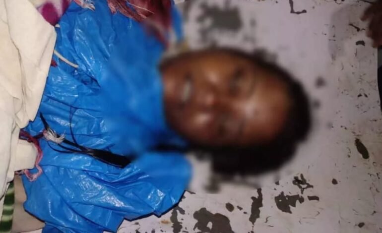 Raipur में आकाशीय बिजली गिरने से महिला की मौत, हवाई अड्डे का नेविगेशन System ठप, 5 उड़ानें डायवर्ट