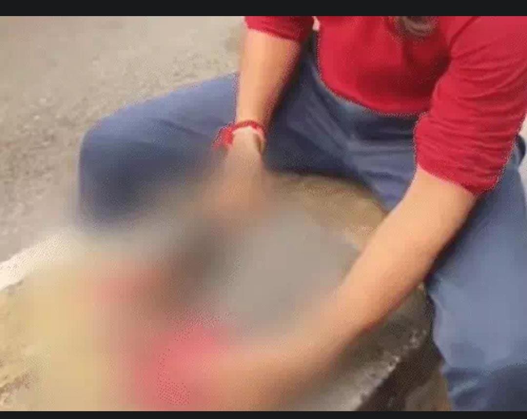 Raipur और Mungeli में गौ-माता के नाम पर चौंकाने वाली घटनाएं, पुलिस ने शुरू की कार्रवाई