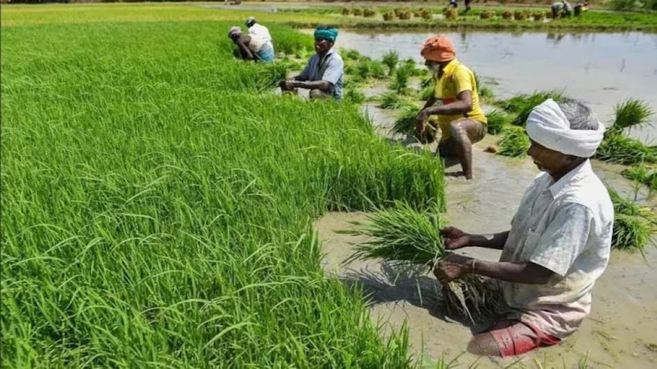 मुख्यमंत्री विष्णु देव साई साय ने Chhattisgarh के किसानों के लिए सुनिश्चित की 60,800 मीट्रिक टन यूरिया की आपूर्ति