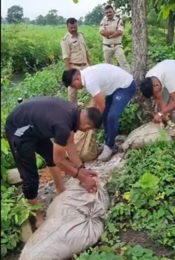 Chhattisgarh:पलारी में अवैध शराब व्यापार पर बड़ी कार्रवाई