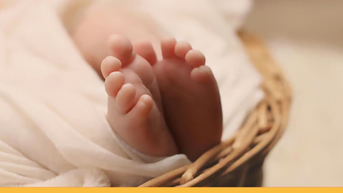 Korba : हसदेव नदी में फेंकी गई नवजात कन्या, मानवता शर्मसार, जांच में जुटी पुलिस