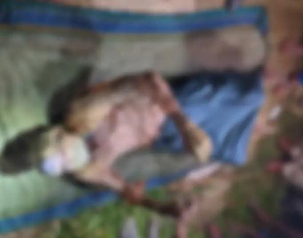 Chhattisgarh के सक्ति जिले में पोते ने की दादा की हत्या, 11 घंटे में आरोपी गिरफ्तार