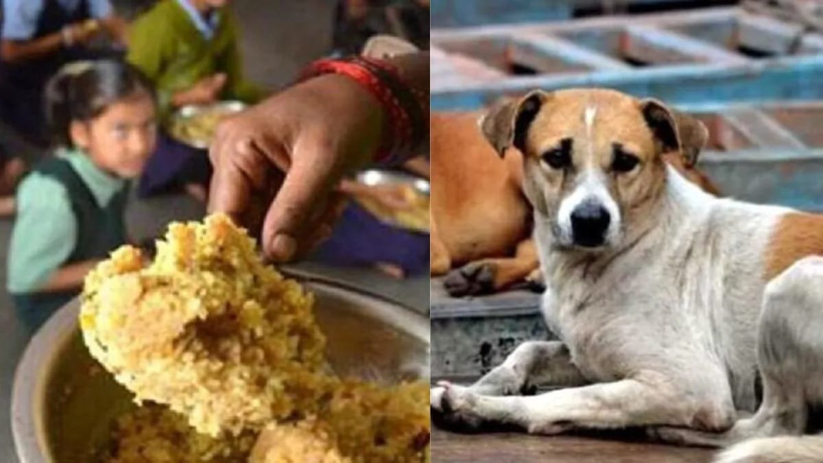 Balodabazar में स्कूल कांड: छात्रों को कुत्ते का जूठा खाना खिलाया, 84 बच्चों को 21 लाख का मुआवजा