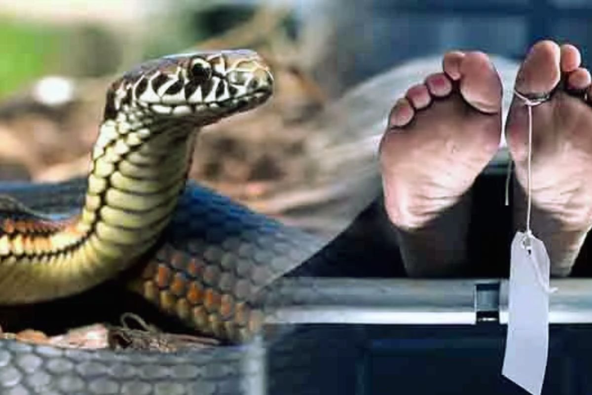 Bemetra भैसा में सांप के काटने से महिला की मौत, झाड़-फूंक की आदत बनी जानलेवा”