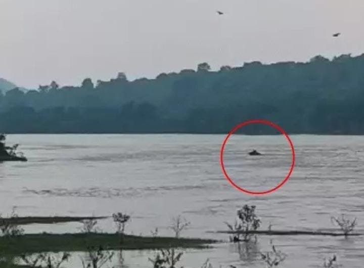 Korba में रताखार एनिकट डैम में युवक-युवती ने लगाई छलांग, युवती लापता