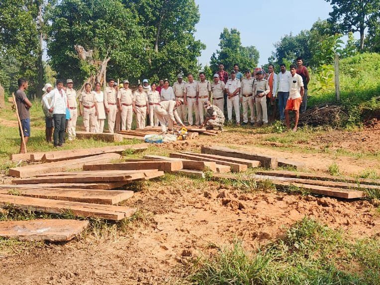 Balrampur:अवैध साल लकड़ी जब्त, करमदिया गांव में वन विभाग की बड़ी कार्रवाई