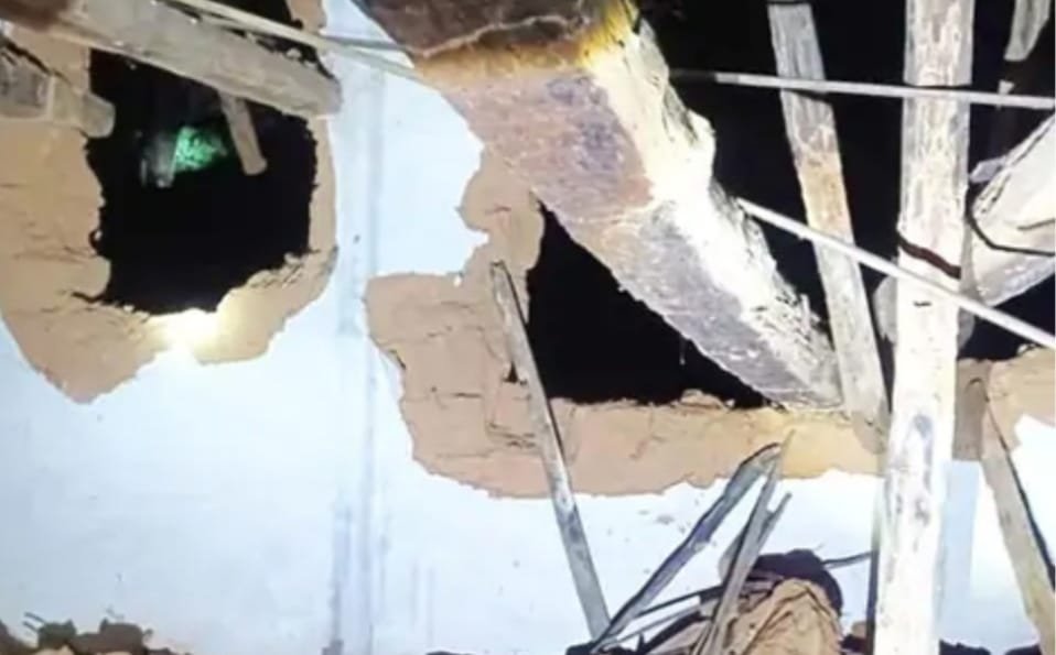 Korba में जंगली जानवरों का कहर: हाथियों की बढ़ती वारदातें