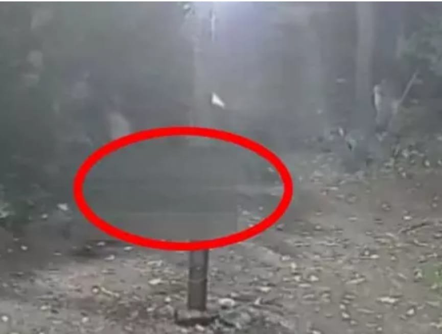 Rewa हादसा: मृत महिला की कब्र तोड़ सड़क बना दी, ग्रामीणों में आक्रोश