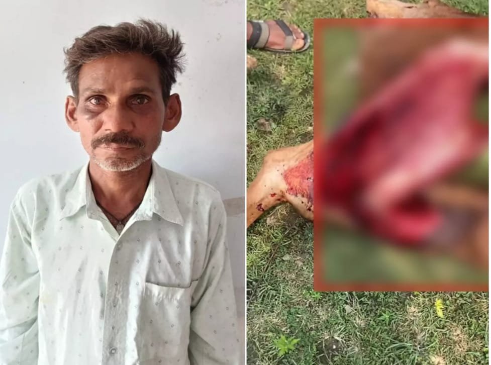 Chhattisgarh में एक और गंभीर अपराध जिंदा गाय के बच्चे को काटने वाले आरोपी गिरफ्तार