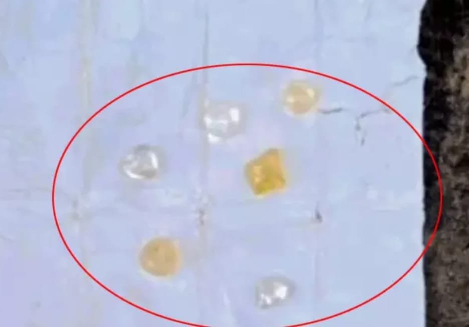 हिरे की तस्करी का पकड़ा गया गिरोह, Gariyaband में तीन गिरफ्तार