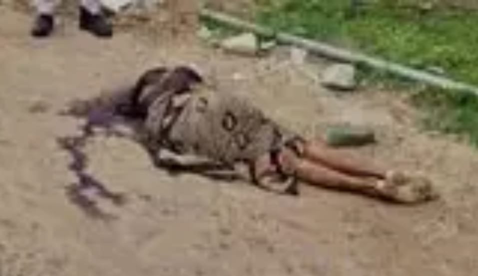 Bilaspur में जादू-टोने के शक में कथित रूप से हत्या: एक दर्दनाक घटना