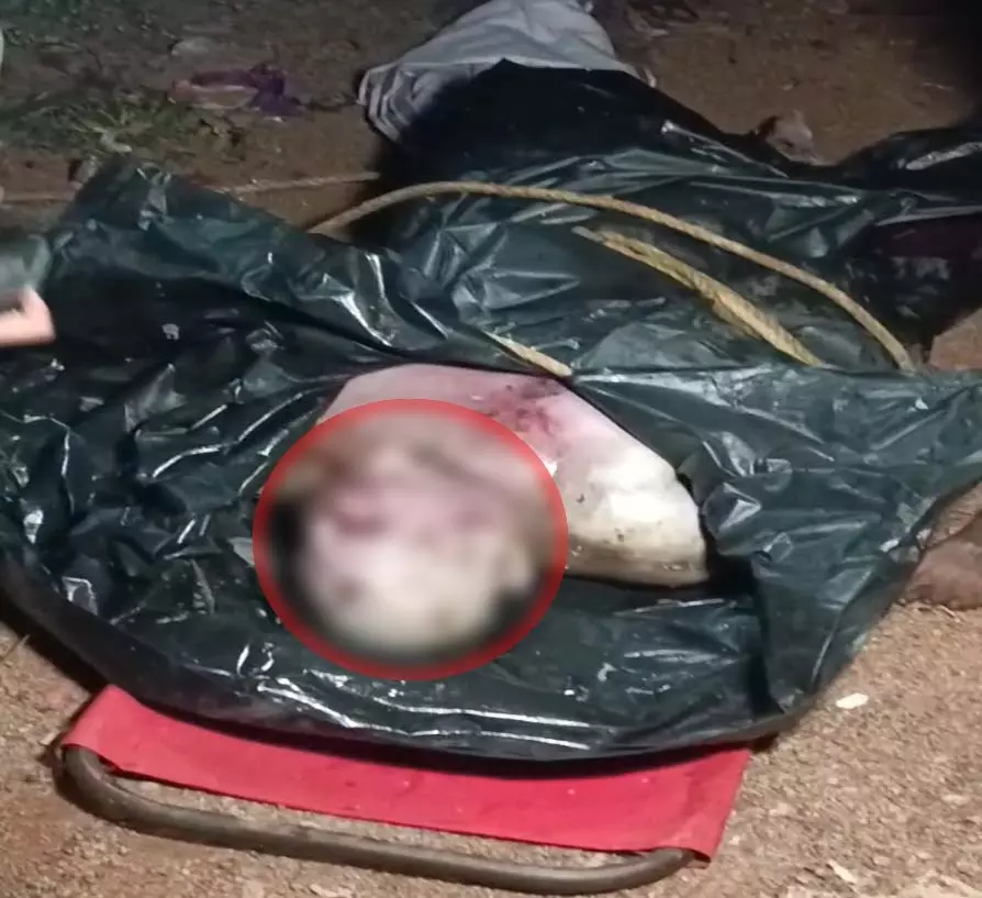 रायपुर में सनसनी, महाराजबंध तालाब के पास मिली सड़ी-गली लाश