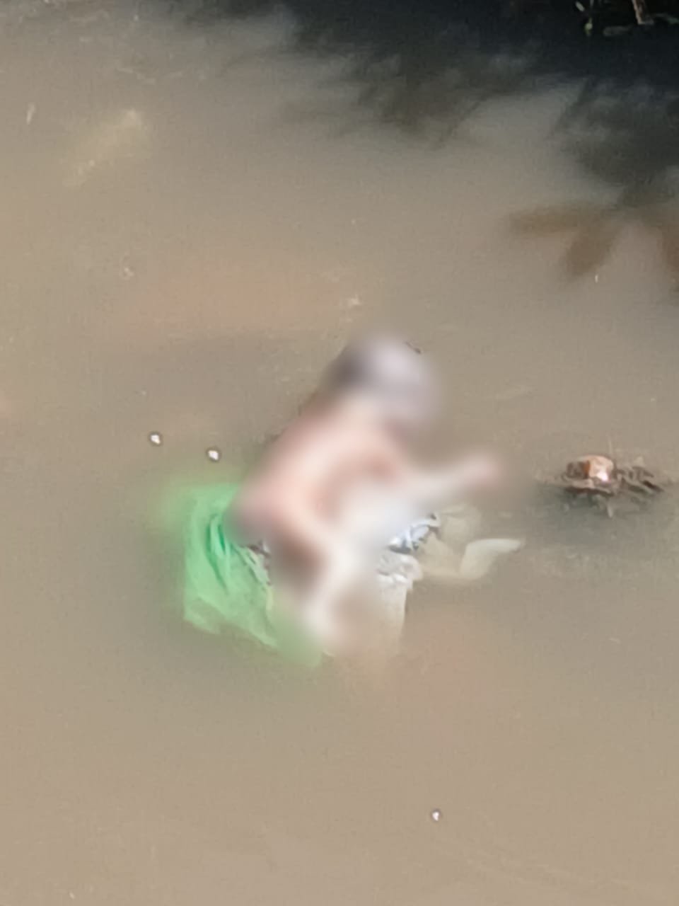 Chhattisgarh : भिलाई में नाले से मिला नवजात शिशु का शव, पुलिस CCTV फुटेज की जांच में जुटी