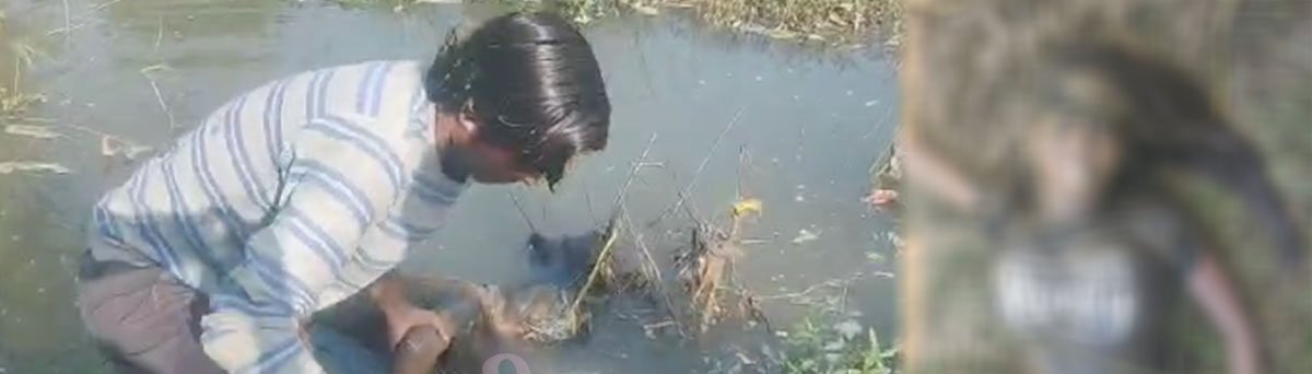 Raipur के अभनपुर में सनसनीखेज हत्याकांड, नाले में मिला शव